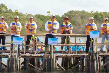 Penanaman satu juta bibit mangrove pada Hari Mangrove Sedunia 2026