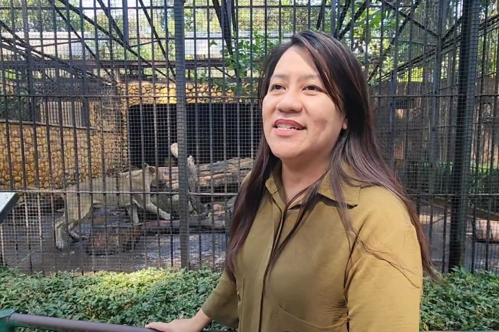Petugas KBS memeriksa kesehatan satwa di Kebun Binatang Surabaya.