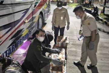 Petugas Karantina Bali mengamankan 482 burung tanpa dokumen kesehatan di Pelabuhan Padangbai.