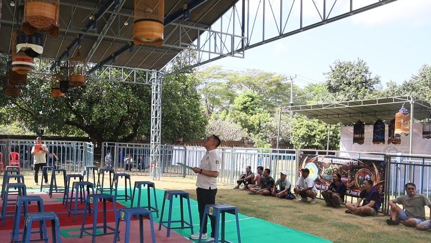 TVRI Bali Cup 2 dorong UMKM melalui lomba burung