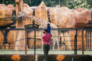 Pemkot Surabaya memperkuat pengawasan tata kelola dan kesejahteraan satwa KBS