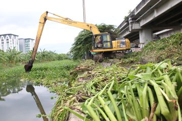 Mitigasi banjir rob di pesisir Surabaya