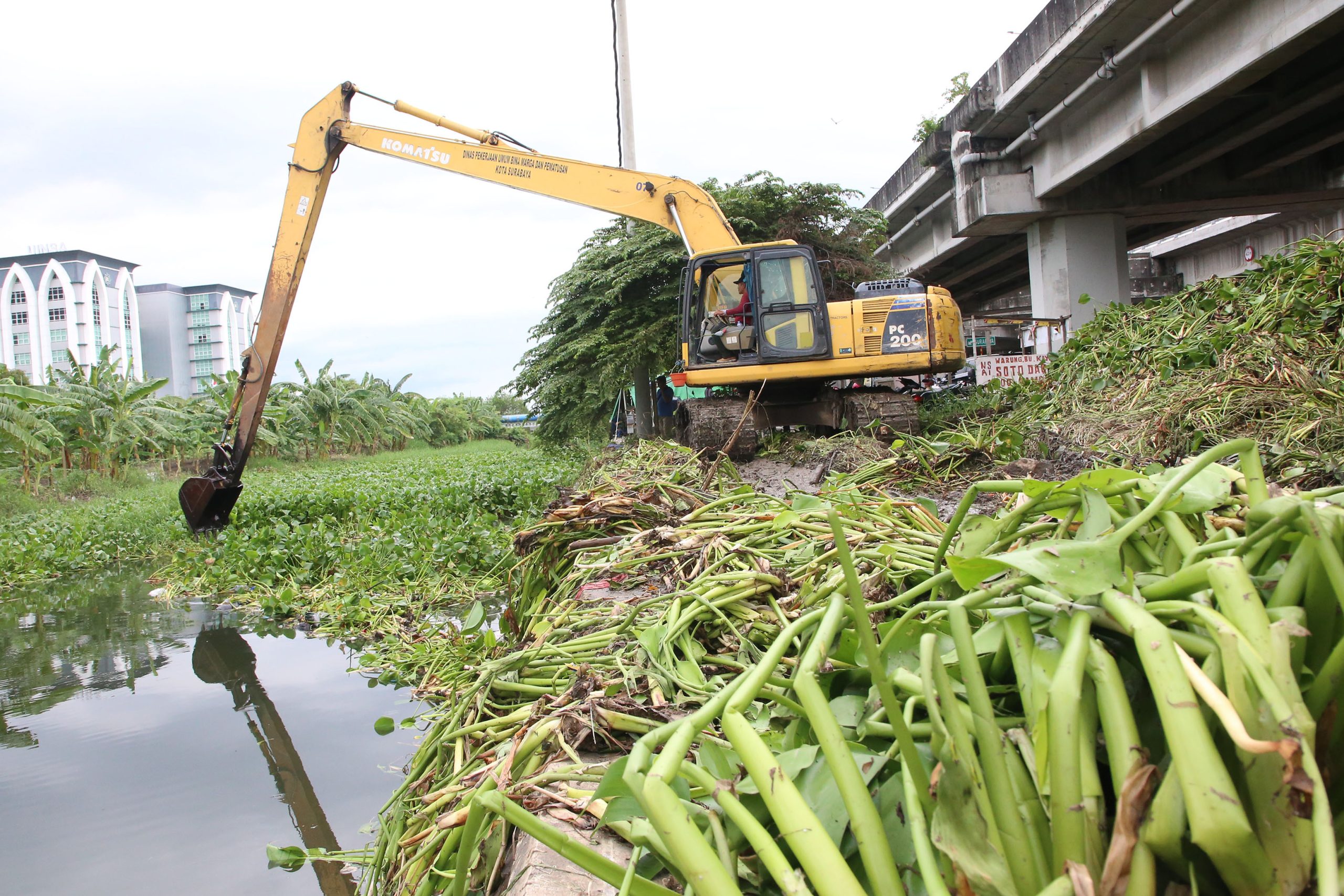 Mitigasi banjir rob di pesisir Surabaya